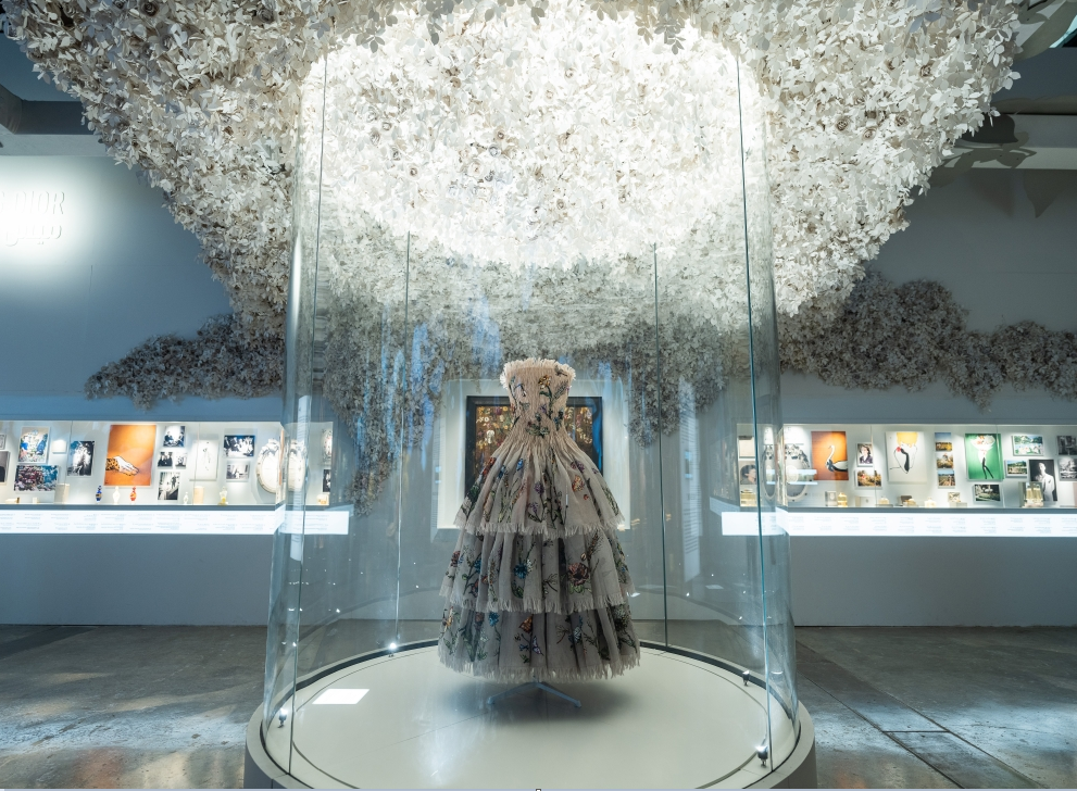 1637810592924815.png 1637810592924815.png